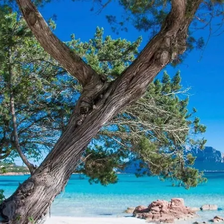 Vacanze Am By Interhome Апартаменти *